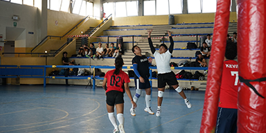 Cultural Workshop